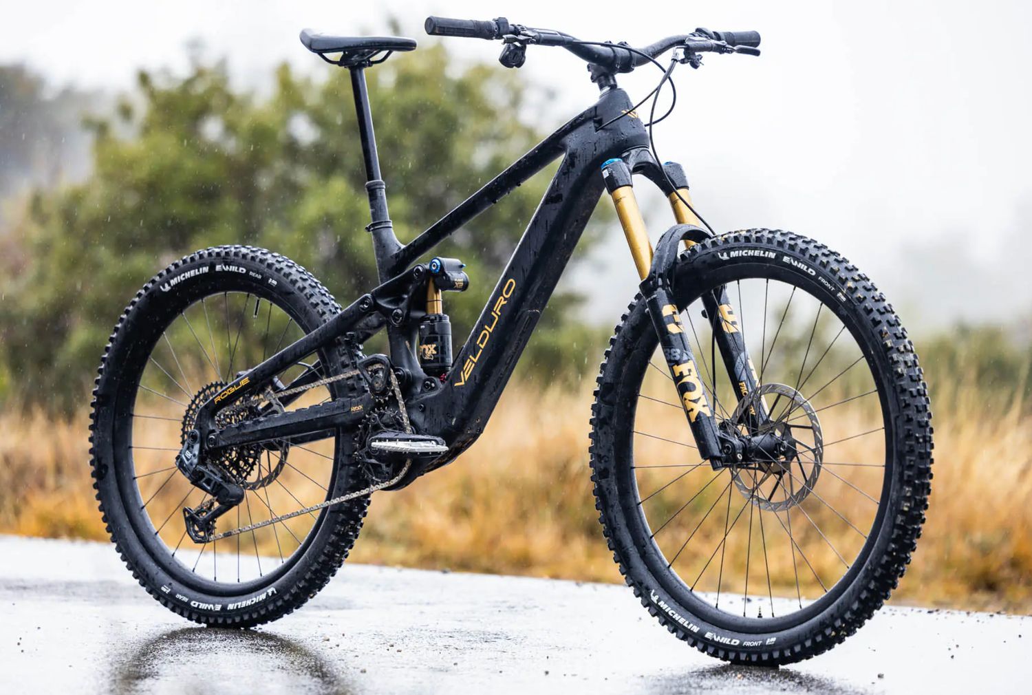 (Rental) Velduro Rougue