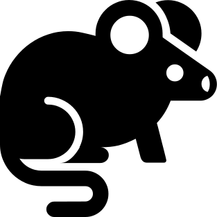 Follistatin-344 (5mg)