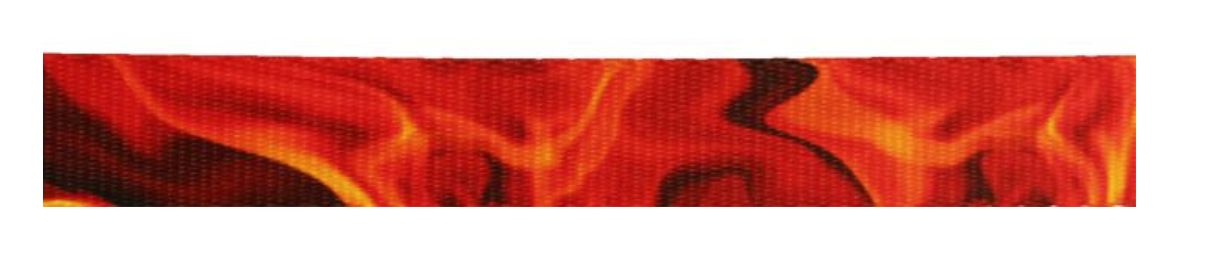 Blaze 1" Polyester Webbing Strapworks