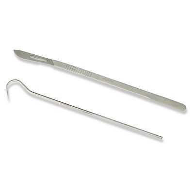 Birds Nest Tool Kit Madam Sew