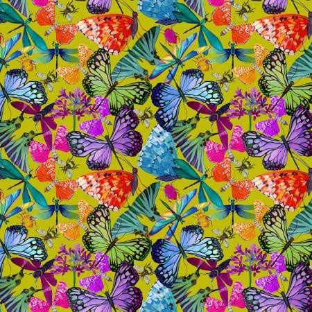 Chartreuse Flutter Knit from Windham Sally Kelly