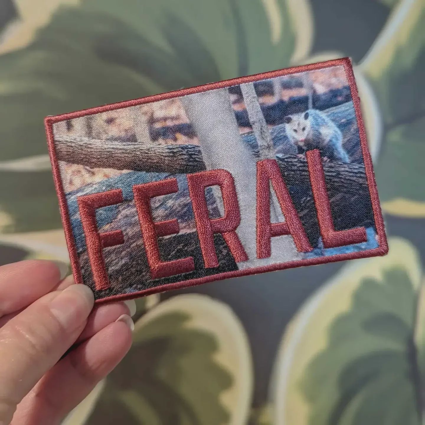 FERAL Iron On Patch Cunning Linguist Co.