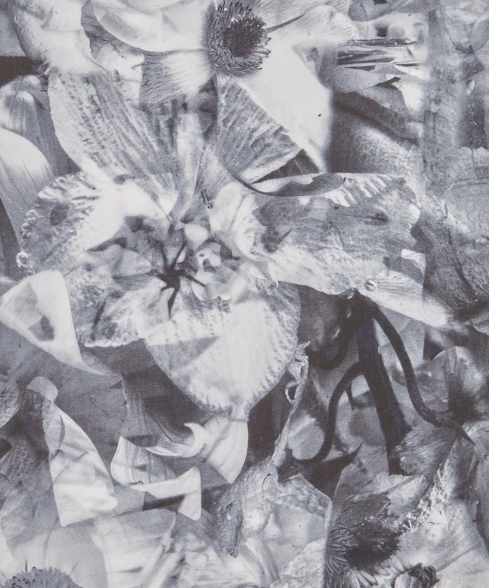 Frozen in Time Tana Lawn Cotton Liberty Fabrics