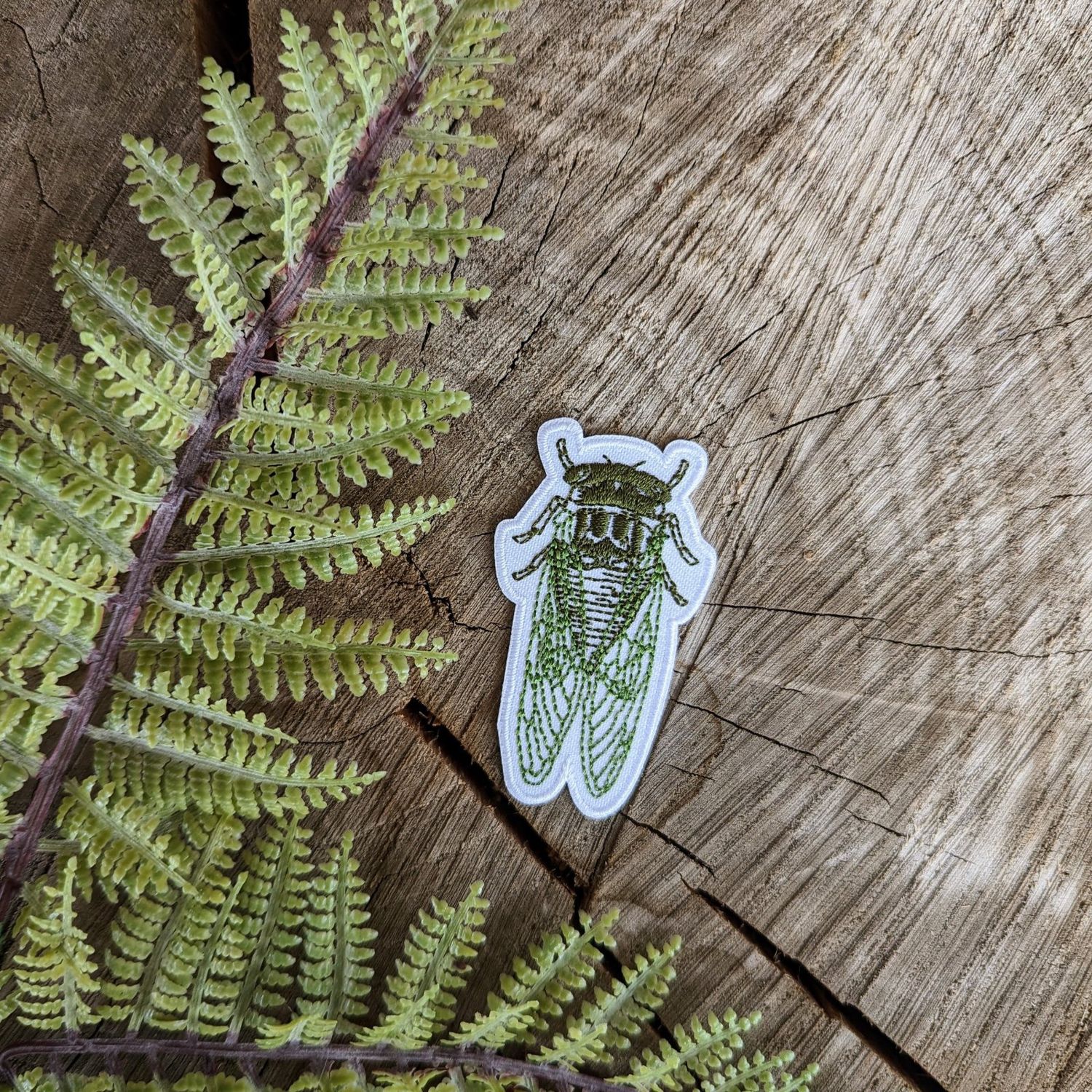 Cicada small  Embroidered Patch ilikesara