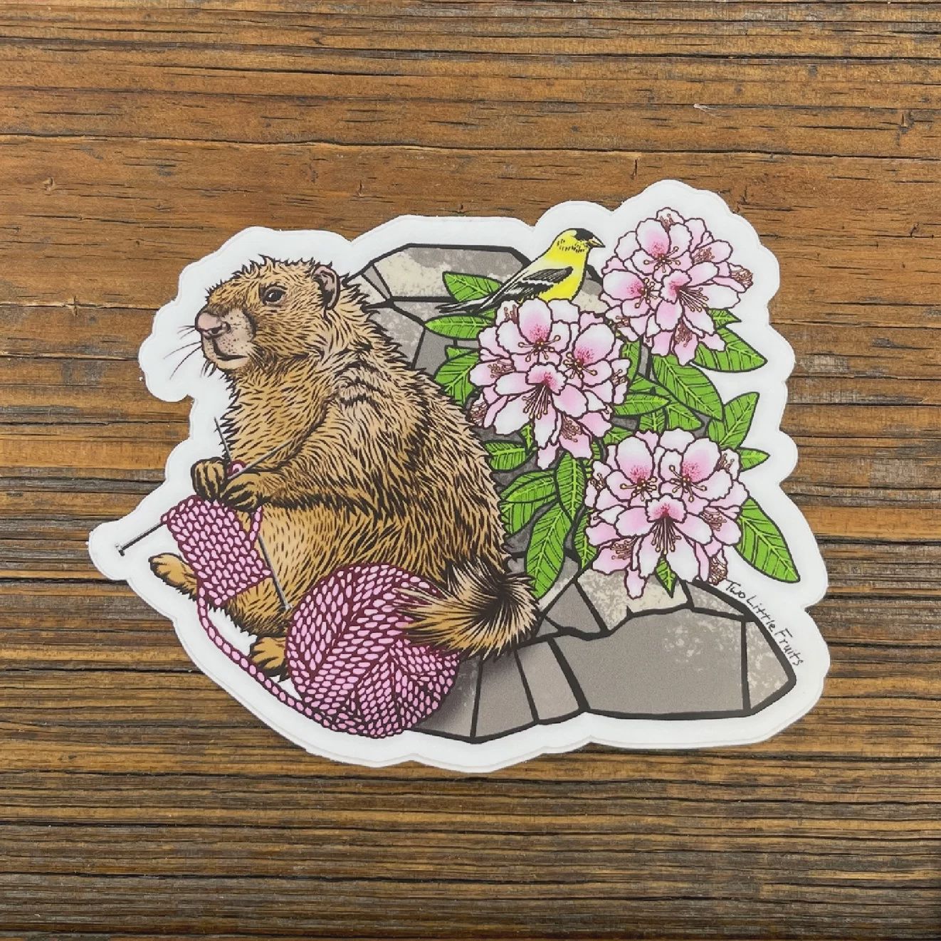Knitting Marmot Vinyl Sticker Two Little Fruits
