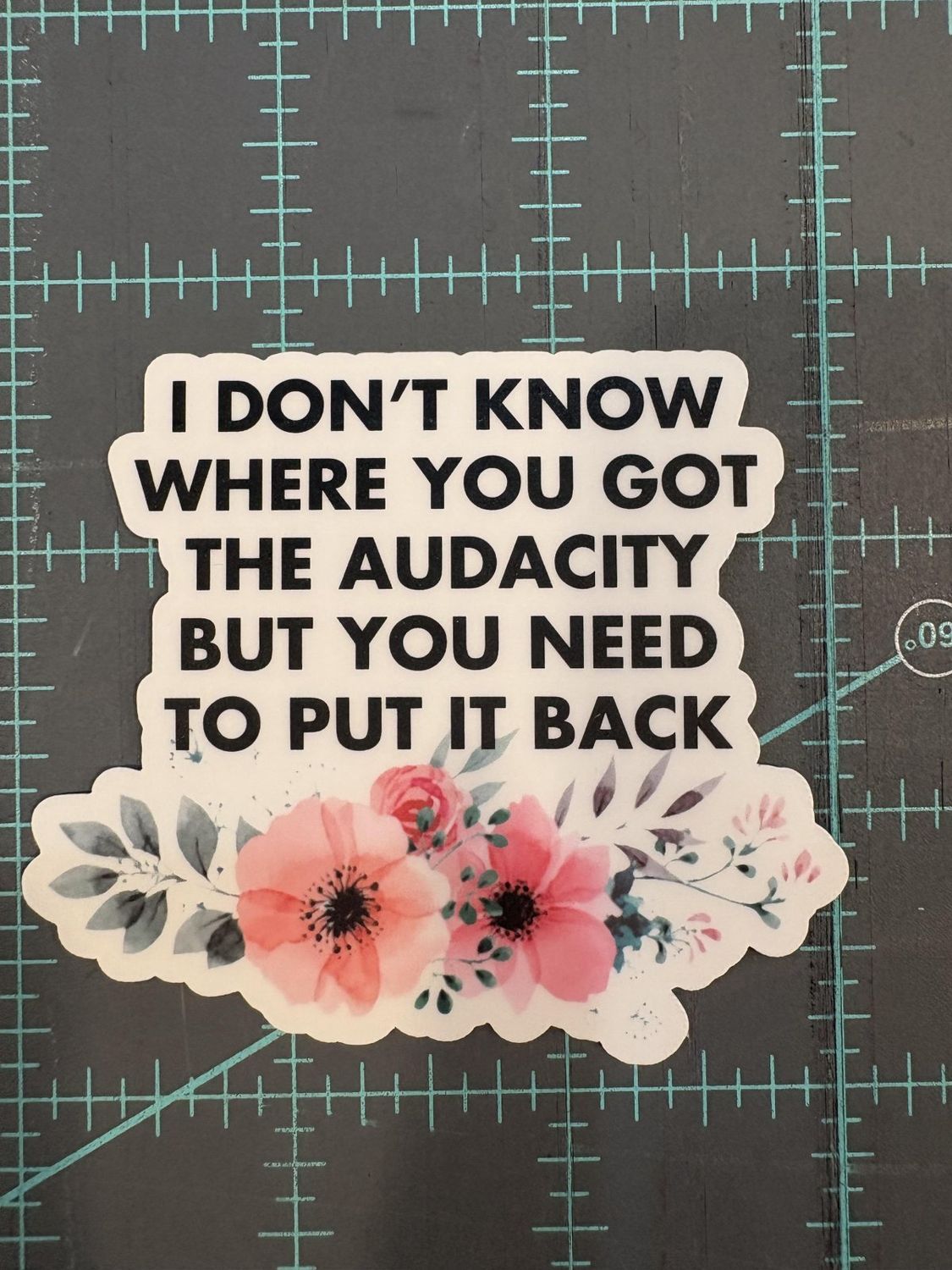 I Don't Know Where You Got The Audacity But You Need To Put It Back Vinyl Sticker Mouthy Broad