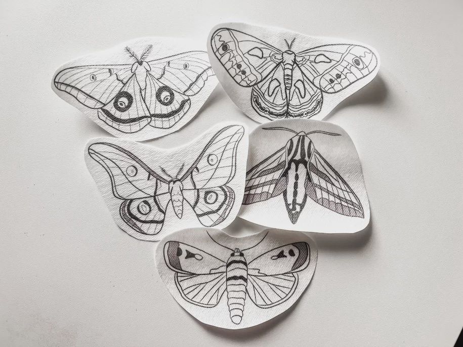 Moth Stick and Stitch Embroidery Transfers