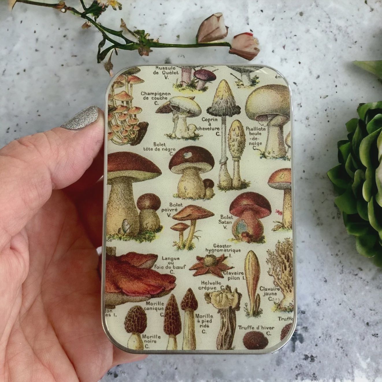 Mushroom Notions Tin - Firefly Notes