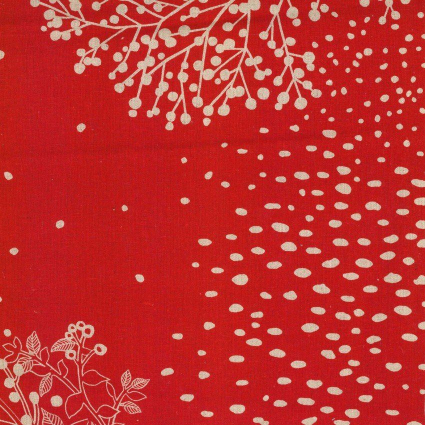 Plants Border Print Echino Duck Canvas Kokka