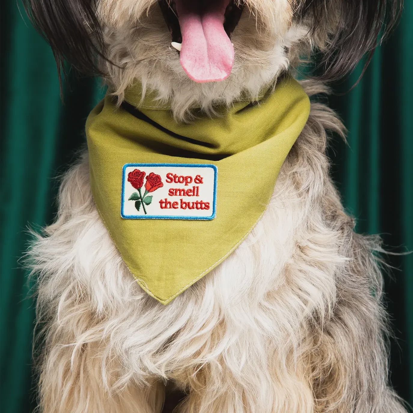 Stop and Smell the Butts Embroidered Patch for Pets  Scout's Honor