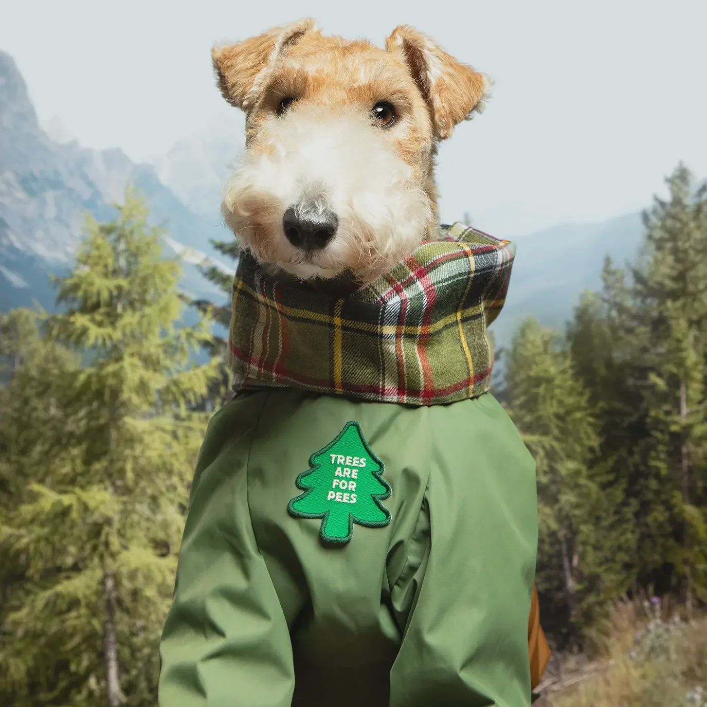 Trees Are For Pees Embroidered Patch for Pets  Scout's Honor