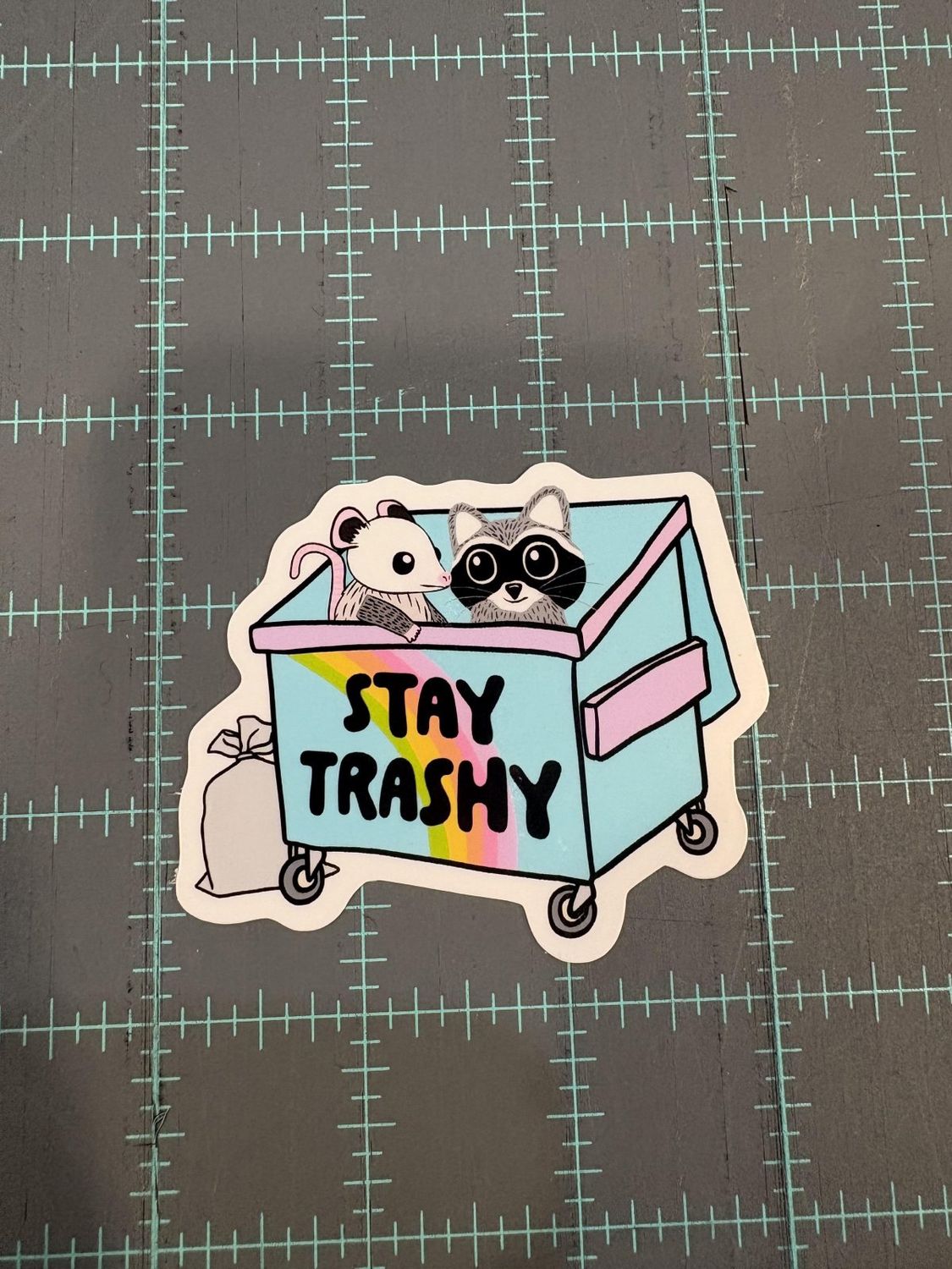 Stay Trashy Raccoon and Opossum Vinyl Sticker Mouthy Broad