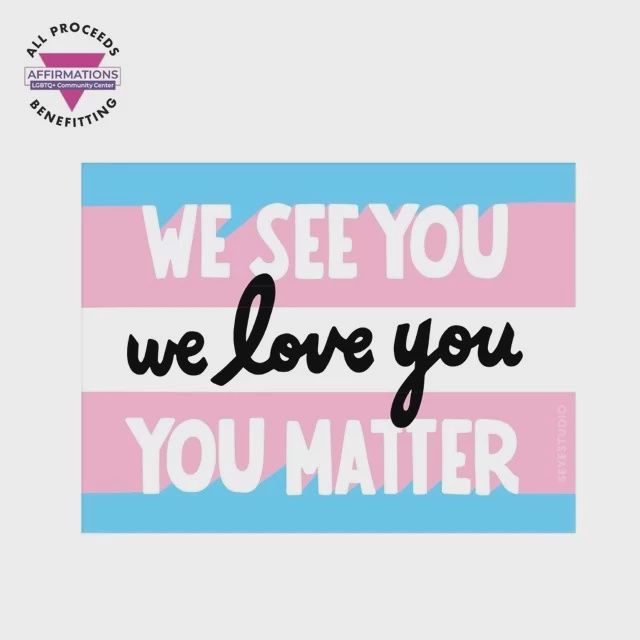 We See You Trans Visibility Flag Vinyl Sticker 5 Eye Studio