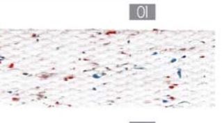 White Speckled Webbing 1.25" wide