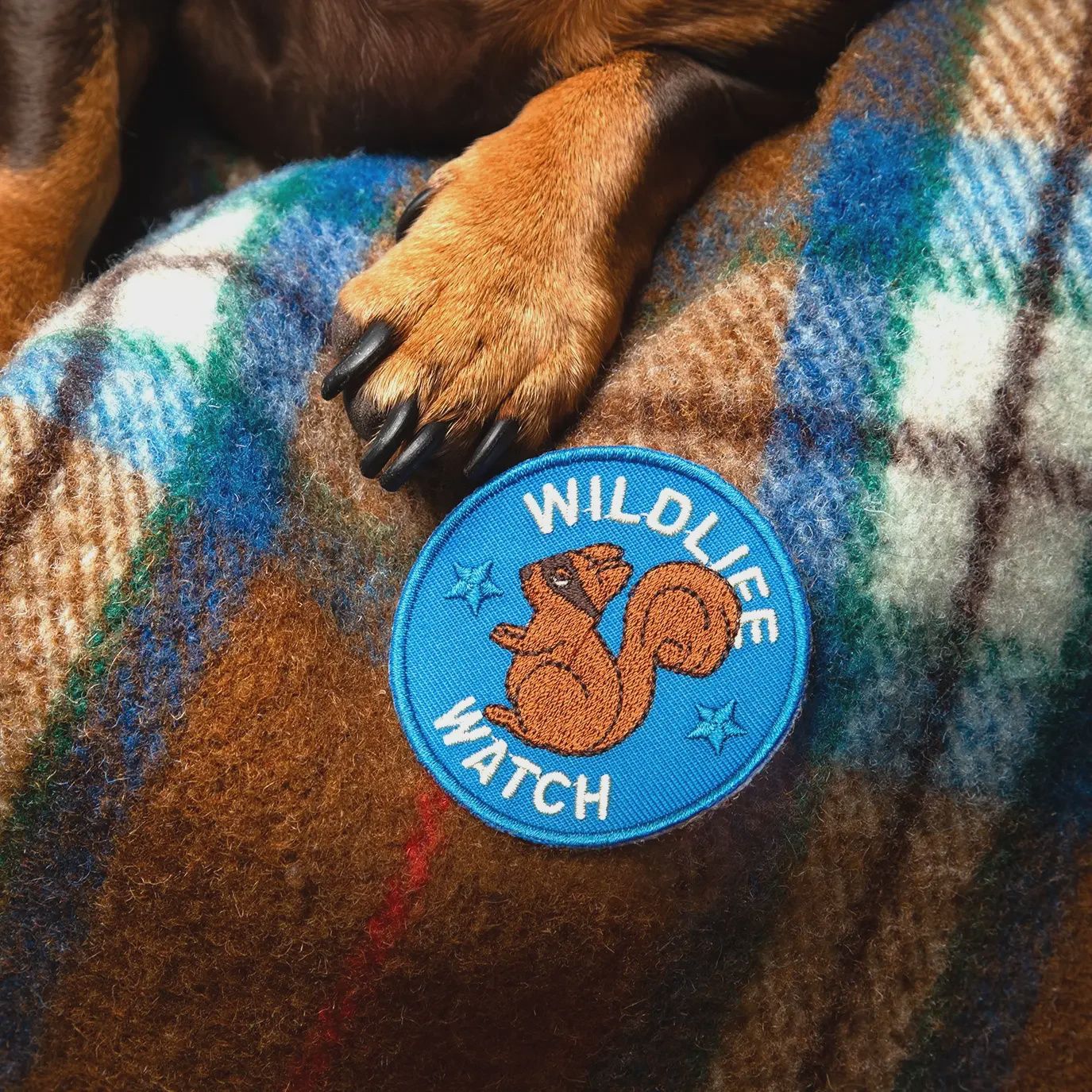 Wildlife Watch Embroidered Patch for Pets  Scout's Honor