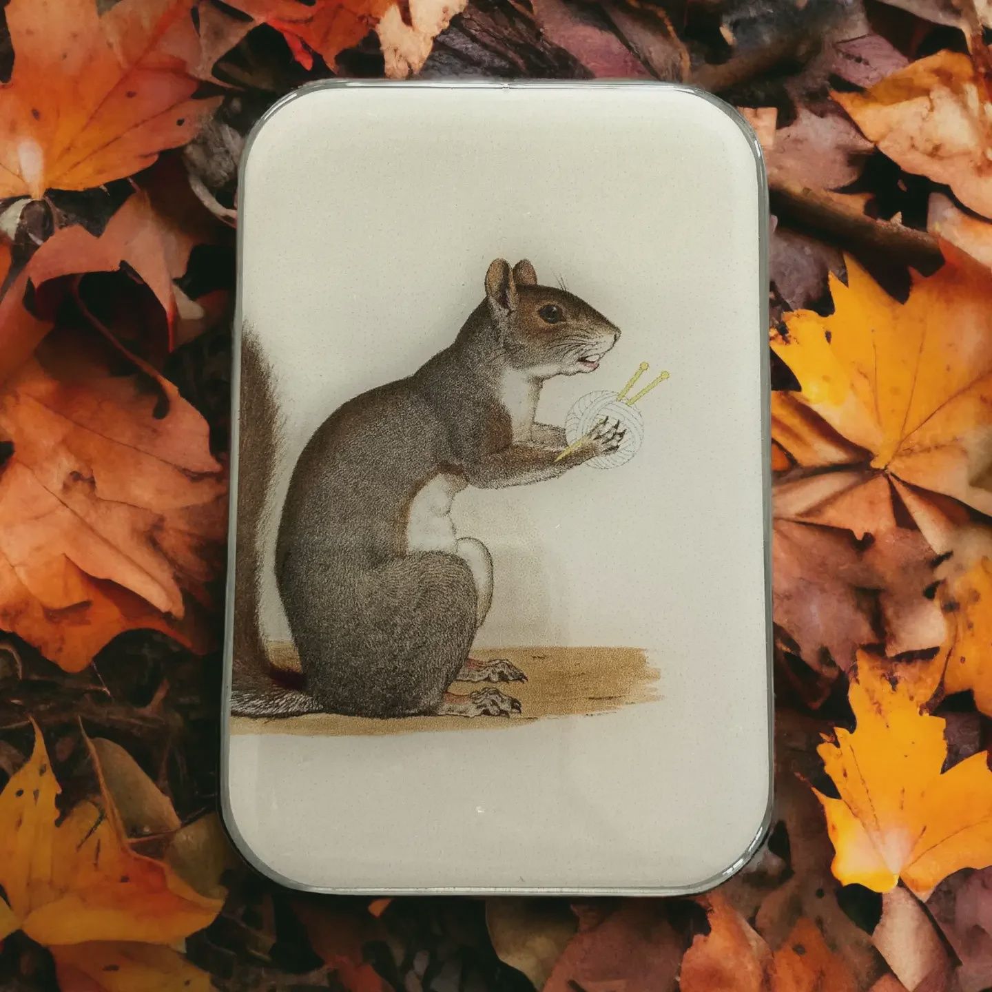 Yarn Squirrel Notions Tin - Firefly Notes