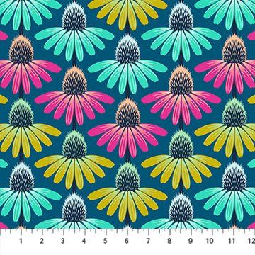 Echinacea Rhythm Parade Border Stripe Perennial Borders Anna Maria