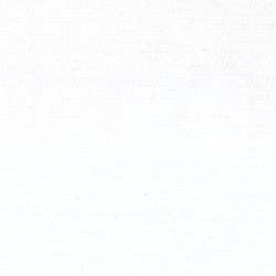 Bleached Muslin Arthur Johnson