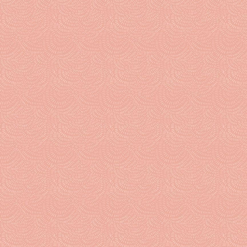 Crimp in Nectar Swan Song Dear Stella