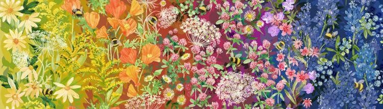 Rainbow Wildflowers Ombre Wild Blossoms Moda