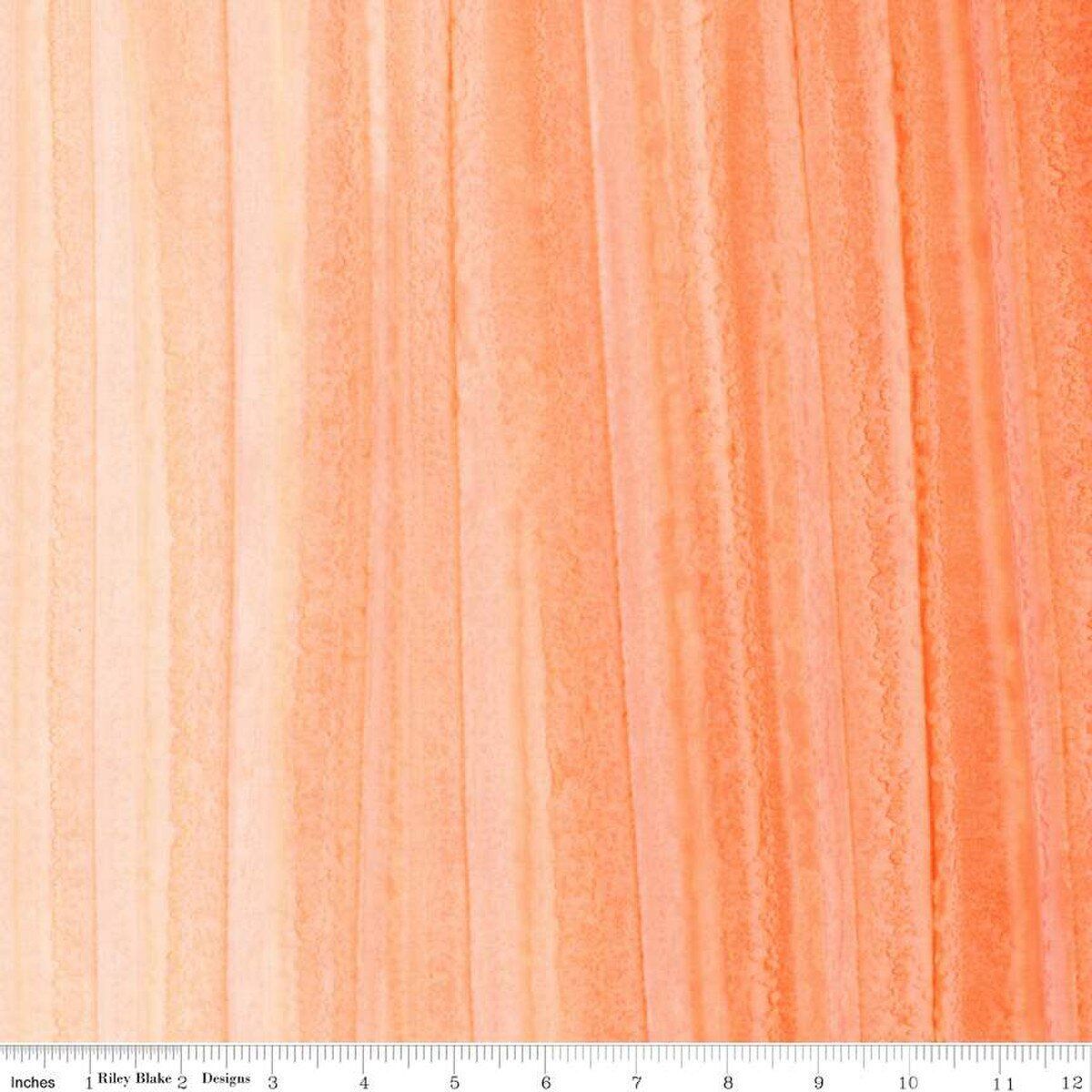 Sunset Glow Expression Batiks Elementals Color Fade Ombre Riley Blake