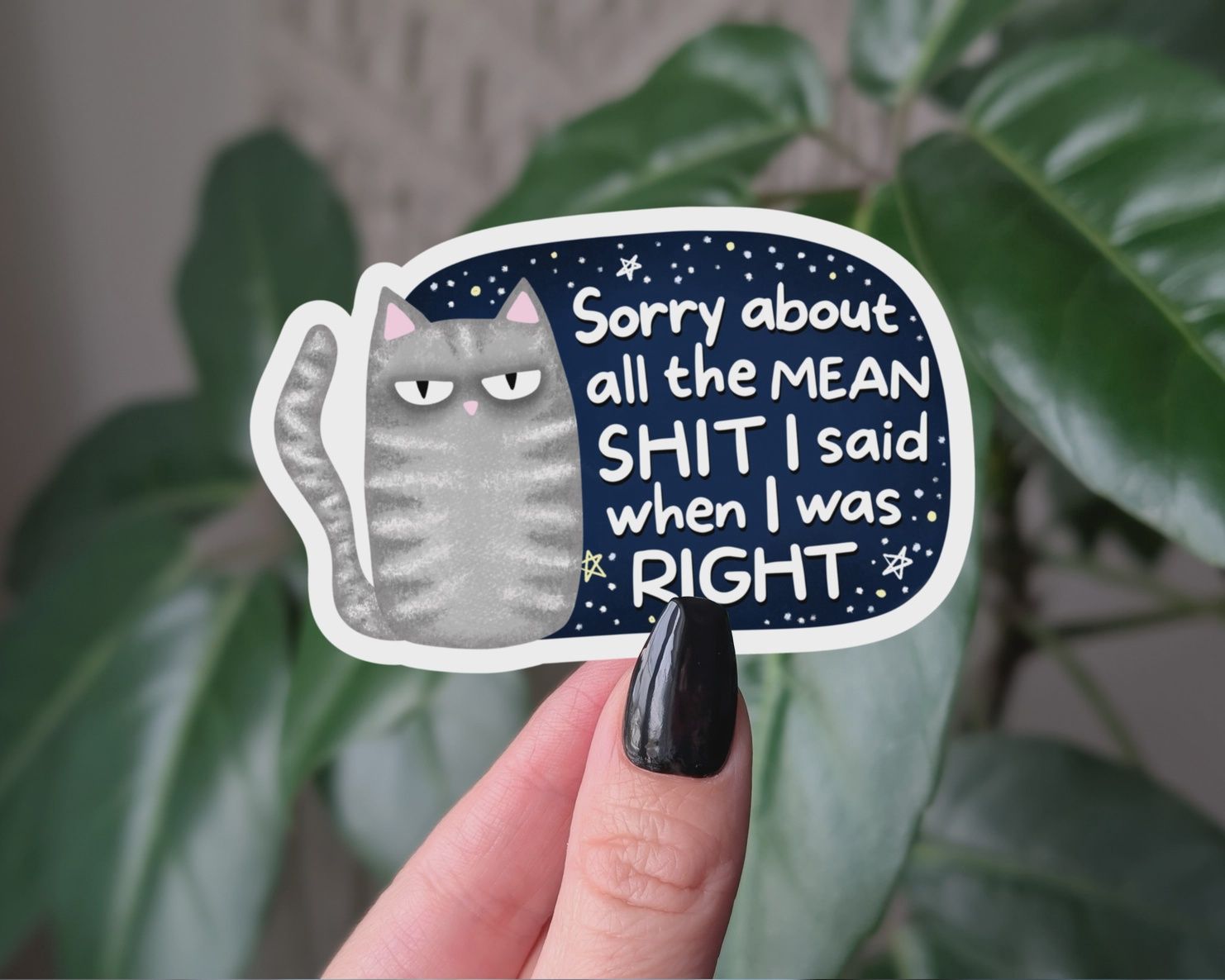 Sorry About  All The Mean Shit I Said When I Was Right, Vinyl Sticker, Moonlit Creations