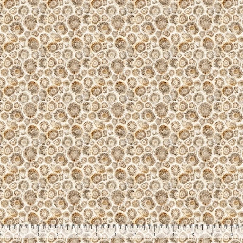 AMISH 2026 - Petoskey, Tan