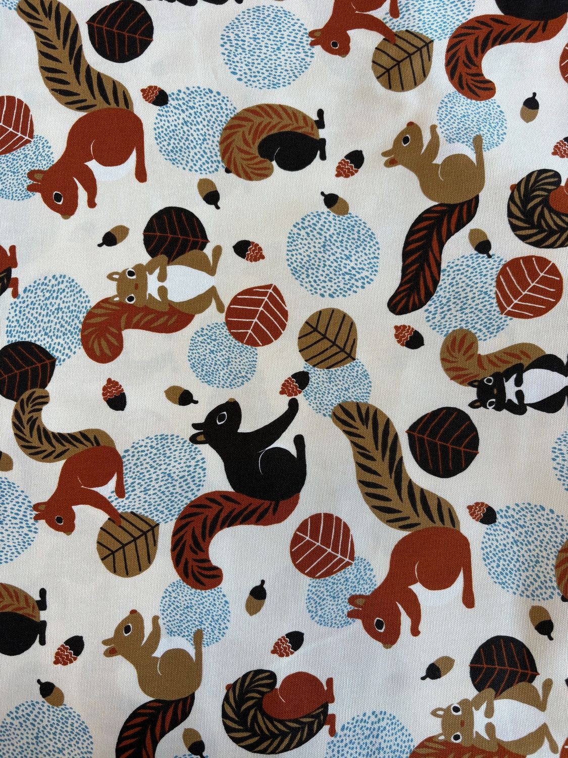 Squirrels on White, Printed Cotton Oxford, Japanese Import