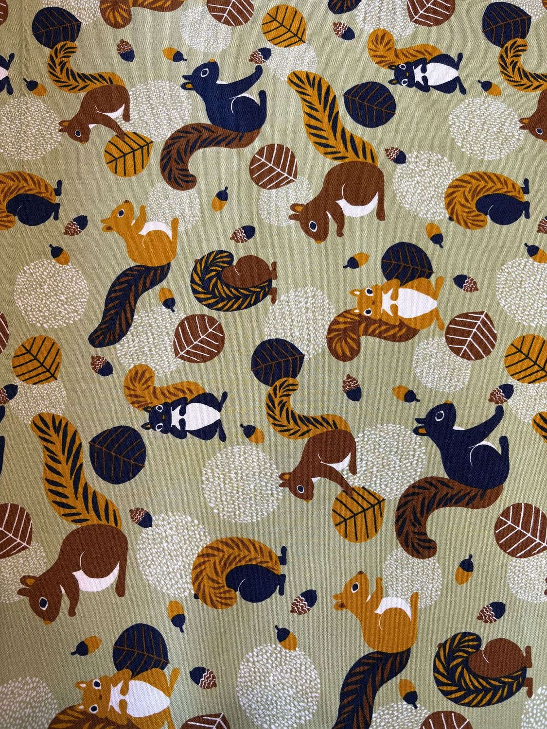 Squirrels on Green, Printed Cotton Oxford, Japanese Import