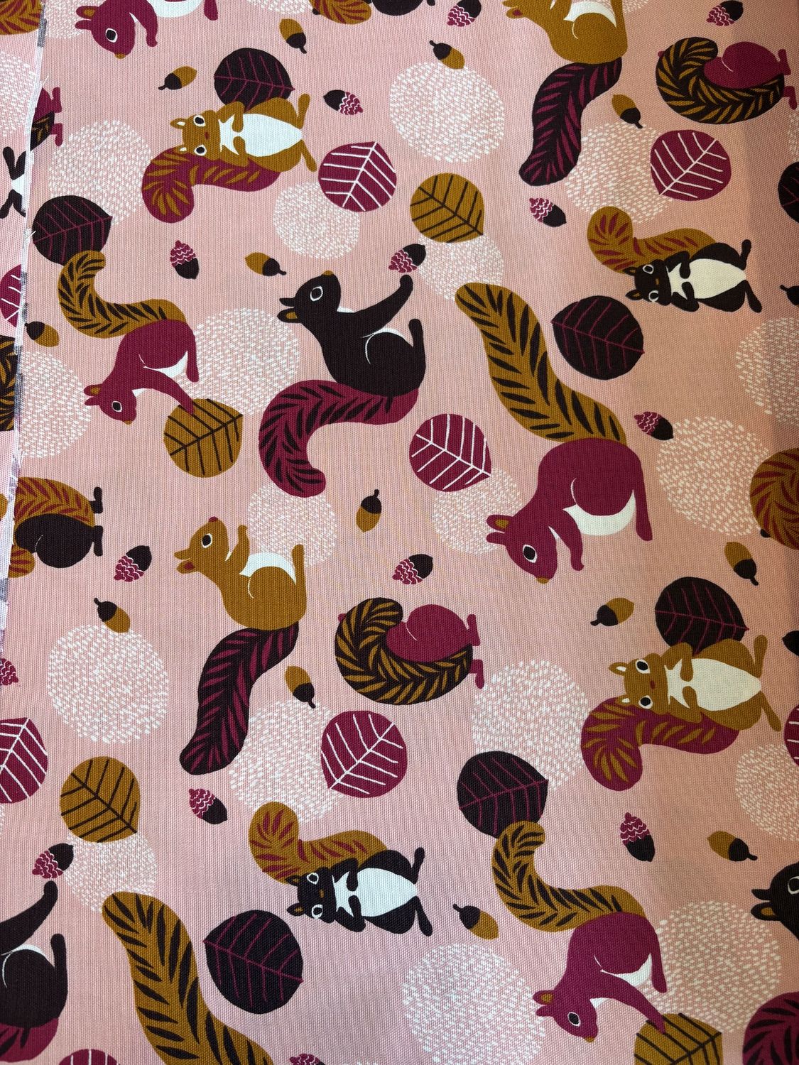 Squirrels on Pink, Printed Cotton Oxford, Japanese Import