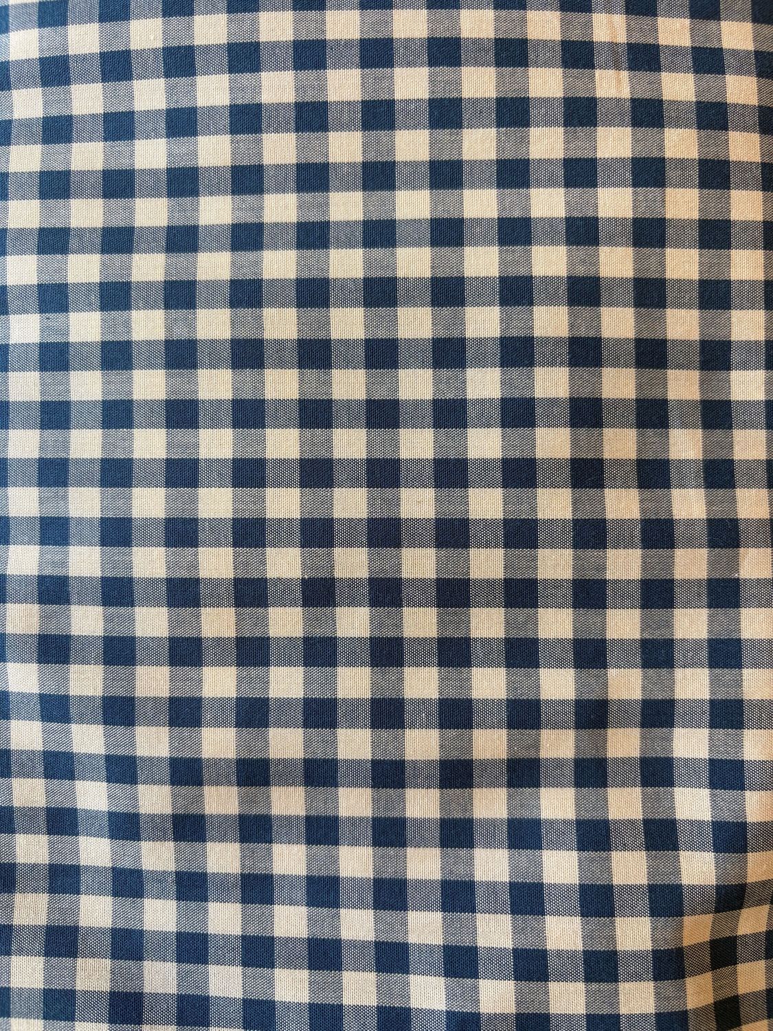 Blue Gingham, Yarn Dyed Cotton Broadcloth, Japanese Import