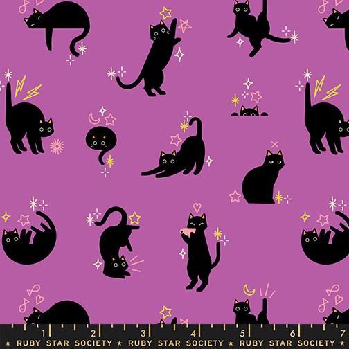 Catwalk in Witchy, Freaky Familiars