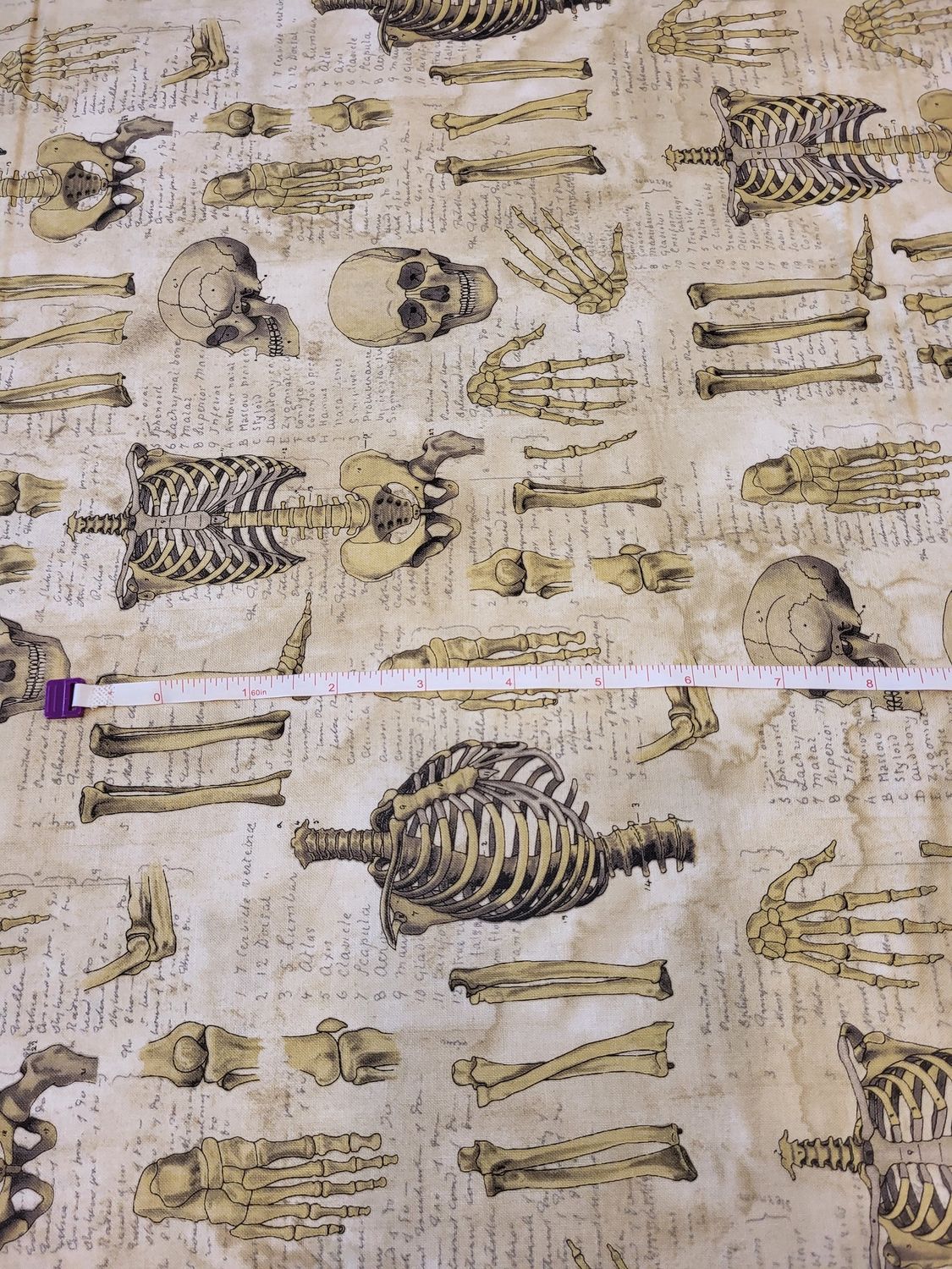 Anatomy - Free Spirit Fabrics