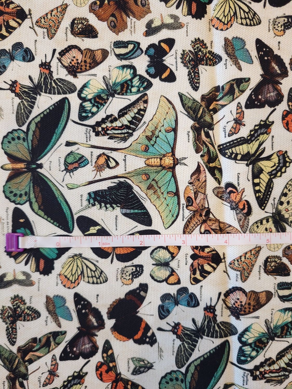 Teal Butterflies Canvas - Free Spirit Fabrics