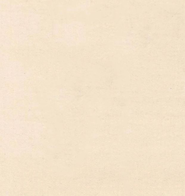 Canton Flannel in Natural