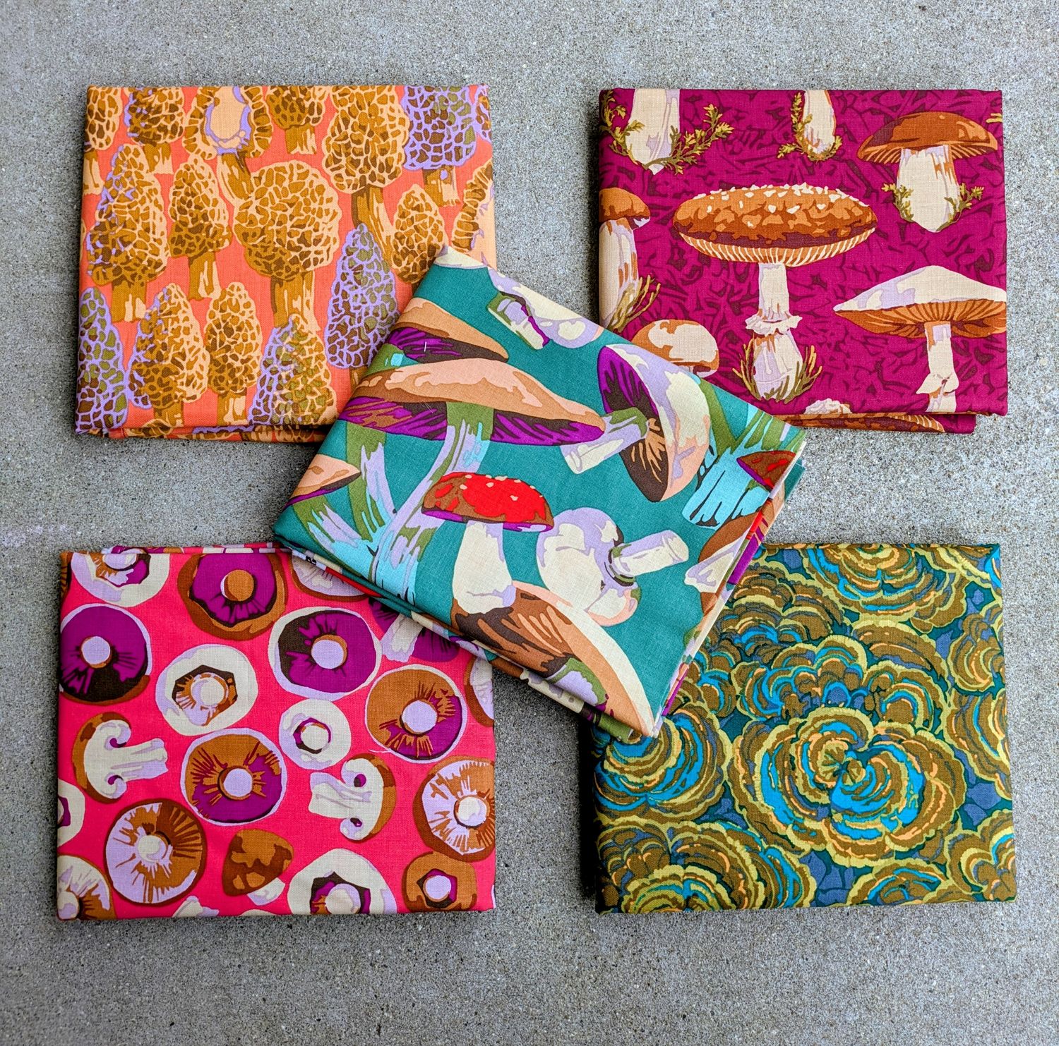 Martha Negley Mushrooms 5yd pack