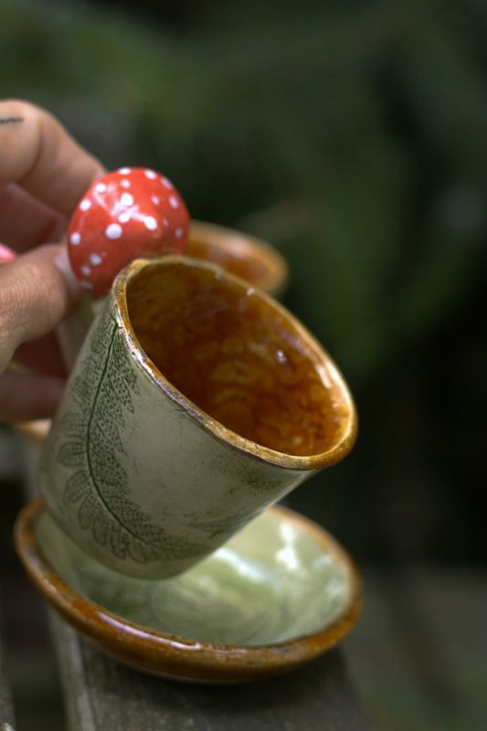 Espresso Paproć z Muchomorem