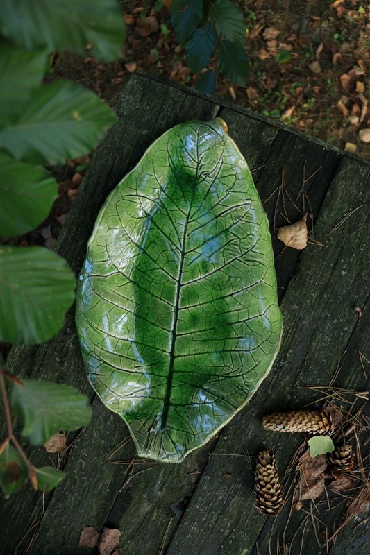 Liść Machorki