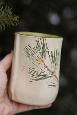 Kubek i Talerz Sosna