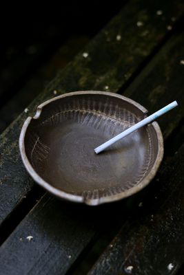 Popielniczka  Paproć