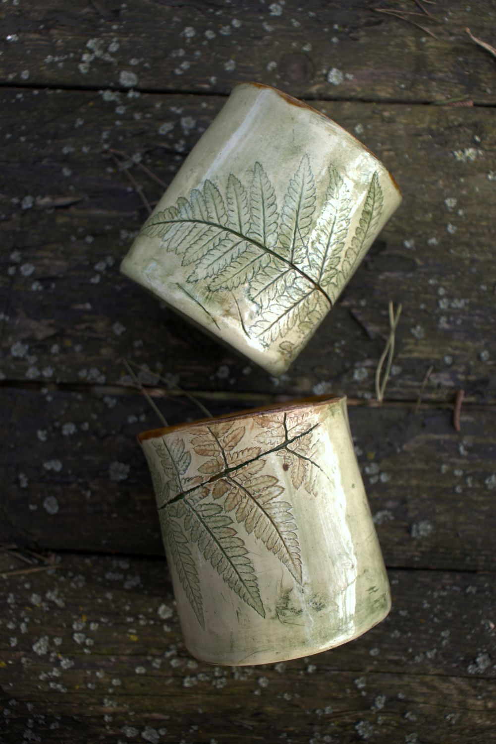 Czarka Paproć, 2 sztuki