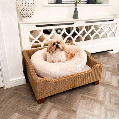 Beds &amp; Baskets