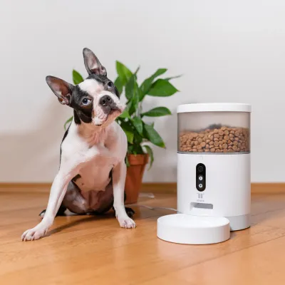 Bowls &amp; Feeders