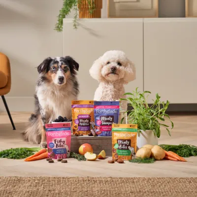 Food &amp; Treats