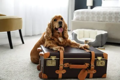 Travel Products