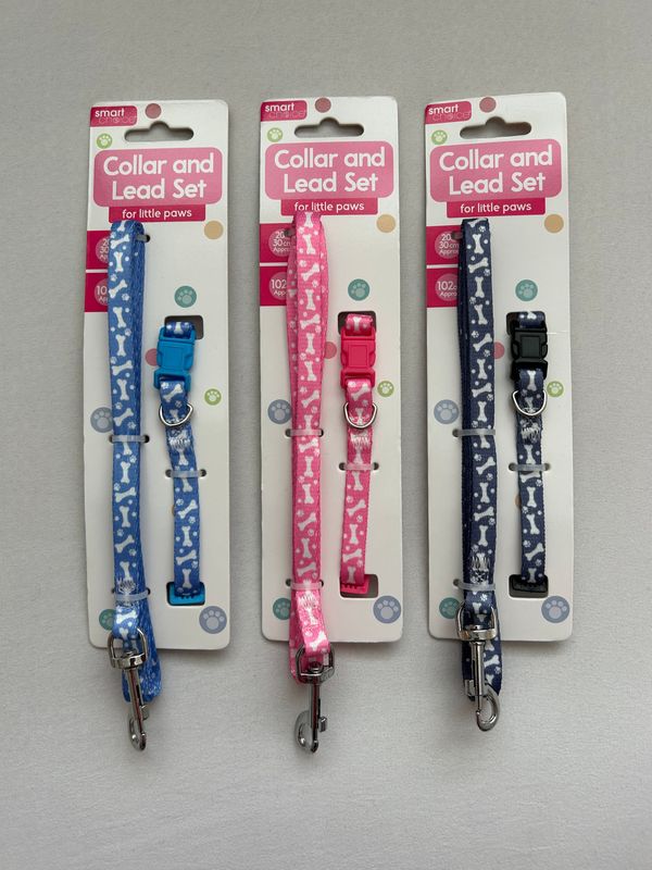 Smart Choice Small Puppy Collar &amp; Lead Set in Assorted Colours