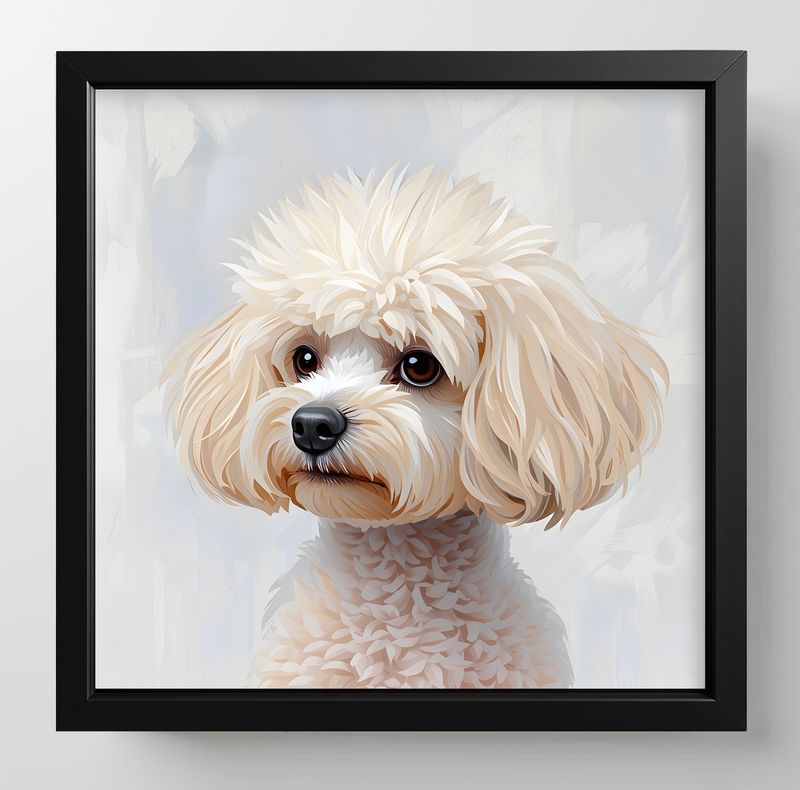 Bichon Frise, Dimensions : 10 in × 10 in = 25.4 cm × 25.4 cm