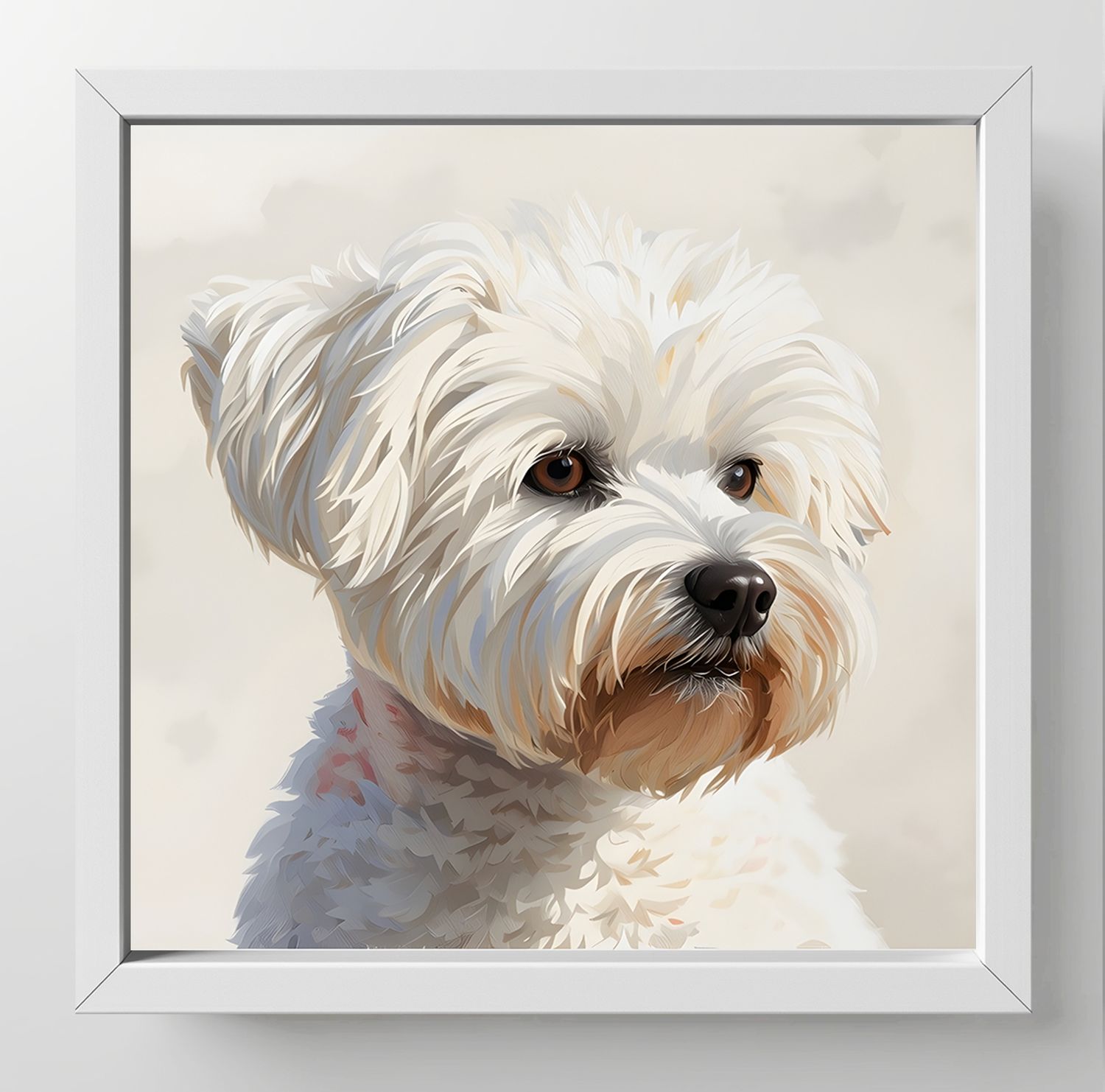 Maltese, Dimensions : 10 in × 10 in = 25.4 cm × 25.4 cm