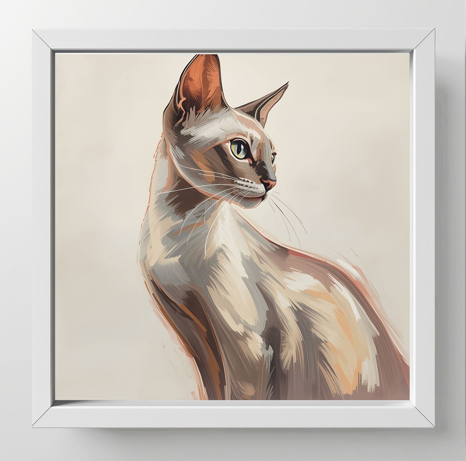 Oriental Shorthair, Dimensions : 10 in × 10 in = 25.4 cm × 25.4 cm