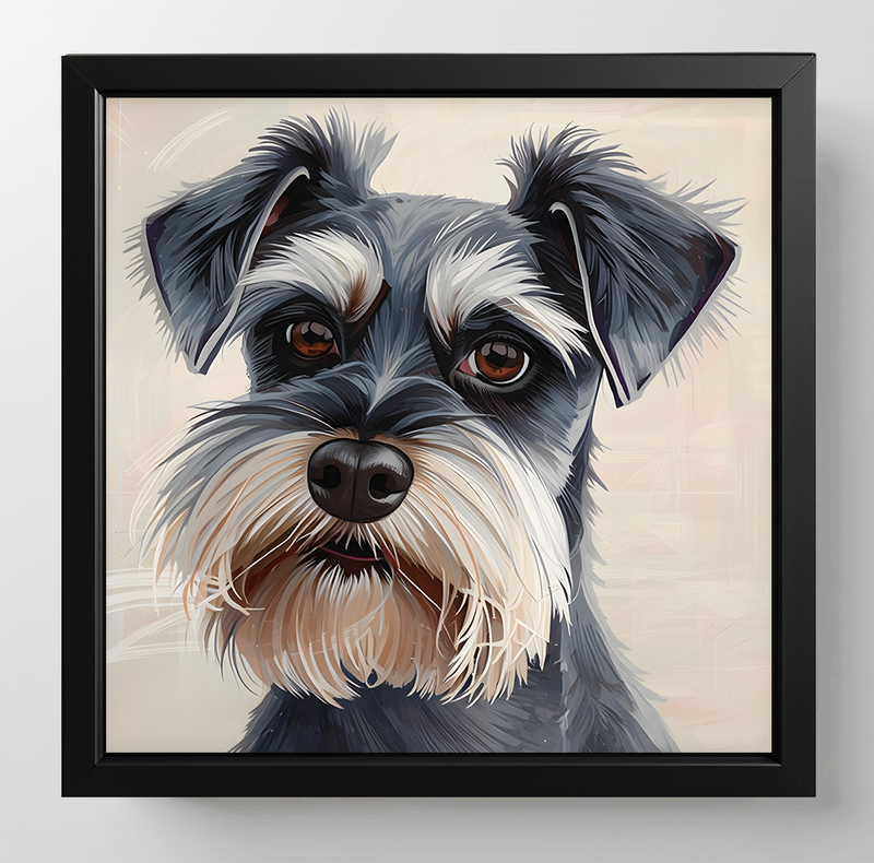 Schnauzer, Dimensions : 10 in × 10 in = 25.4 cm × 25.4 cm